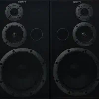 سیستم آنتیک و جذاب سونی (SS-D302S و LBT-V302)