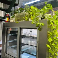 یخچال کباب|کافی‌شاپ و رستوران|رشت, چله خانه|دیوار