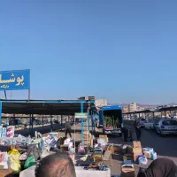 حراج انواع گلهای آپارتمانی وبیرونی|گل و گیاه طبیعی|بیرجند, |دیوار