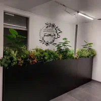 جدیدترین مدلهای اجرا شده درختچه و گیاه مصنوعی|گل مصنوعی|تهران, بازار|دیوار