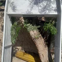 باربند وانت پیکان