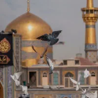 کاروان مشهد ولادت امام رضا