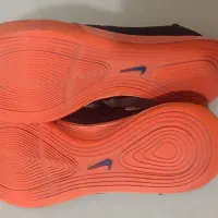 کفش سالنی اصل