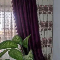 کنارپرده ای ها وکتیبه|پرده، رانر، رومیزی|شاهرود, |دیوار