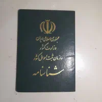 شناسنامه گم شده