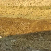 کود حیوانی تمیز