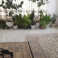 سوئیت اجاره ای ویلا روستای توریستی کمالوند|اجارهٔ کوتاهمدت آپارتمان و سوئیت|نهاوند, |دیوار