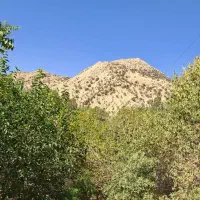 فروش باغ سراب قنبر