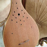 سه تار مهدیان|سازهای سنتی|نجف‌آباد, الله اکبر|دیوار