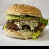 فرکار ساندویچ و پیتزا