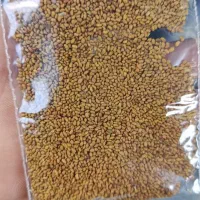 ارسال یا حضوری