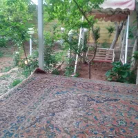 فروش-باغچه