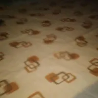 موکت اصلی تمیز