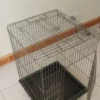 قفس|لوازم جانبی حیوانات|کرج, شهرک آسمان|دیوار