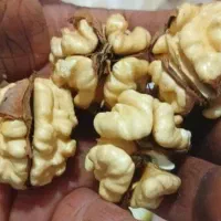 گردو و بادام و ابغوره