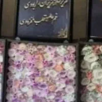 باکس گل|گل و گیاه طبیعی|تهران, نیروی دریایی|دیوار