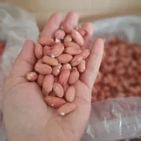 بادام زمینی اعلا