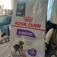 غذای خشک سگ