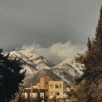 خریدار-زمین