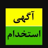 نیروی ساده خانم برای کبابی