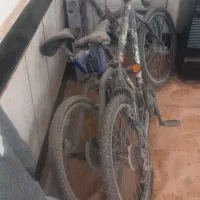 دوعدد دوچرخه ۲۴