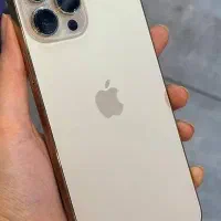 13 pro max