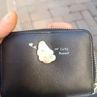 کارت ملی و کارت عابر بانک پیدا شده