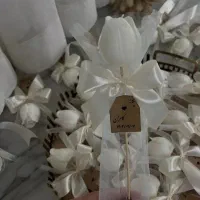 گیفت تمام مراسمات  شاخه نبات حنا