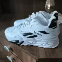 کفش اسپورت Reebok