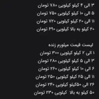 میلورم|خزنده|قم, بنیاد|دیوار