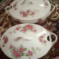 ظرف ها شکیل گل سرخی