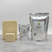 بلوک ضد عفونی Formallitox|عمدهفروشی|احمدآبادمستوفی, |دیوار