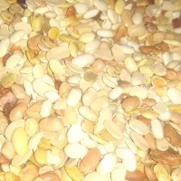 لوبیا و عدس|خوردنی و آشامیدنی|اهواز, حصیرآباد|دیوار