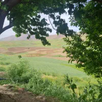 اجاره زمین کشاورزی