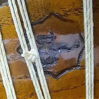 تار کاملا نو بدون استفاده|سازهای سنتی|قائمشهر, |دیوار