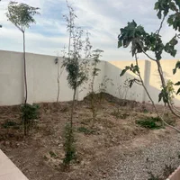 باغ باغچه|فروش خانه و ویلا|شریفآباد, |دیوار