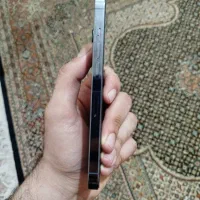 آیفون 13 پرو|موبایل|لامرد, |دیوار