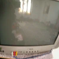 تلویزیون