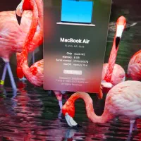 مک بوک ایر inch 15 2023 m2