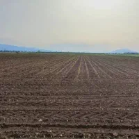 فروش-یک-هکتار-زمین-کشاورزی-دیم