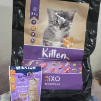 گربه نر میکس پرشین|گربه|تهران, نبی اکرم|دیوار