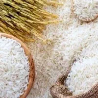 اقساط برنج ایرانی|خوردنی و آشامیدنی|کاشان, زیدی|دیوار