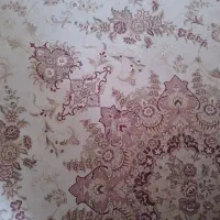 فرش نه متری|فرش|اصفهان, بهارستان|دیوار