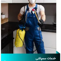 سمپاشی قدیمی معتبر وسم پاشی اصولی ساس و