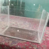 چند عدد آکواریوم ماهی زیر قیمت