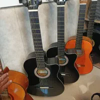 فروش و آموزش گیتار