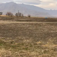 اجاره-زمین-کشاورزی-قطره-بارانی-میان-دربند