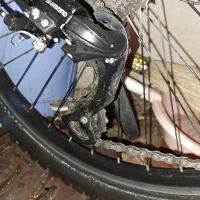 دوچرخه ویوا|دوچرخه، اسکیت، اسکوتر|تبریز, |دیوار