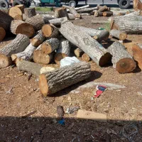 خرید و فروش چوب ترو خشک وقلمه و..|عمدهفروشی|مشگین شهر, |دیوار