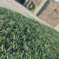 چمن مصنوعی|عمده‌فروشی|ماسال, |دیوار